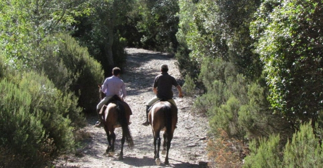 Escursioni parco della Maremma